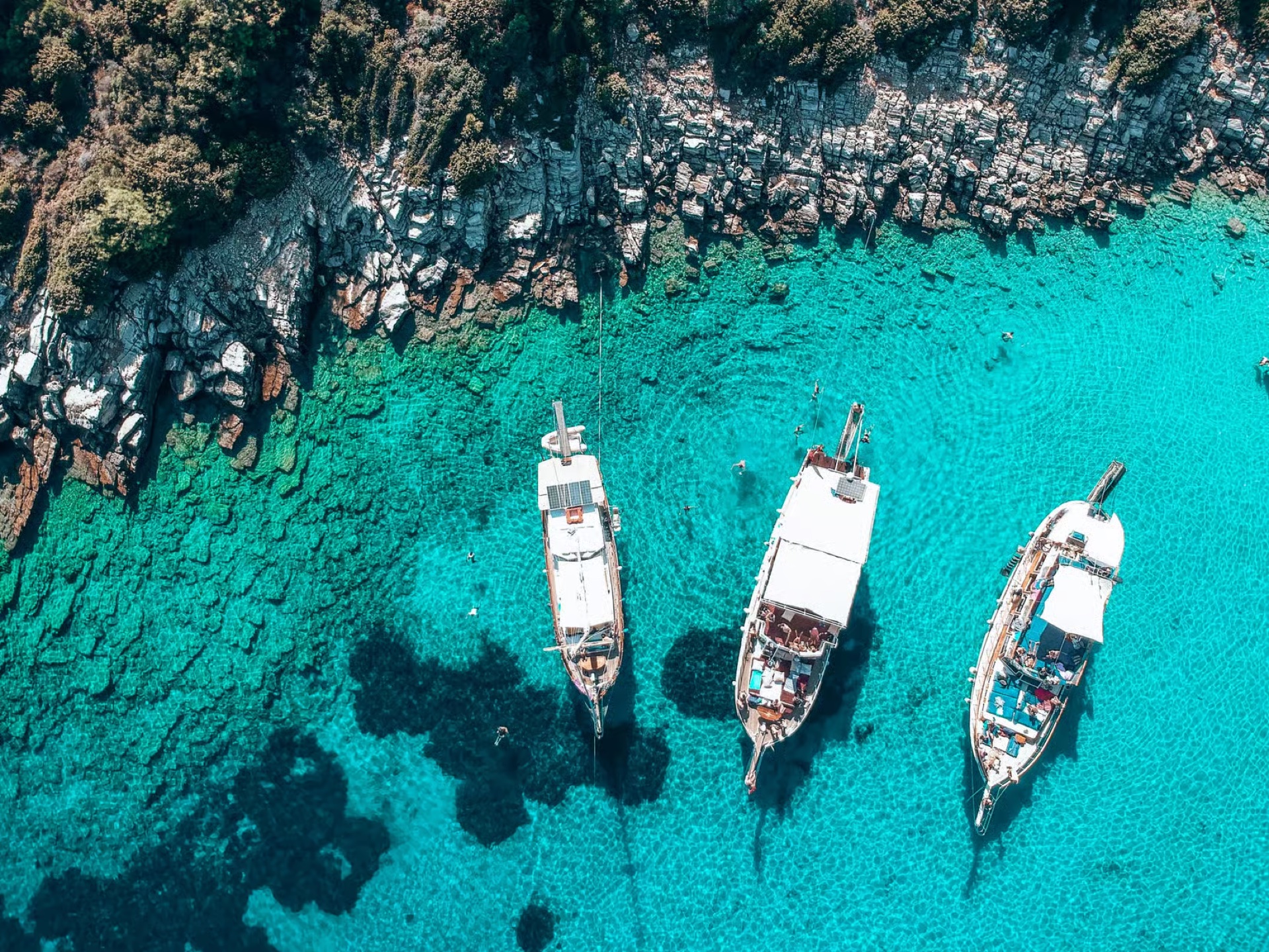 Bodrum: Yüzme Duraklı ve Öğle Yemekli Orak Adası Tekne Turu 2